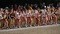2010CIF XC GD3-0442